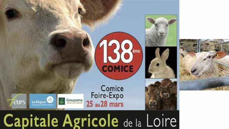 France Bleu St-Etienne Loire and the city of Feurs present the 138th edition of the Comice from March 25 to 28