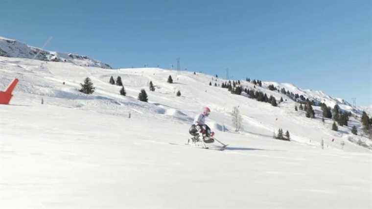 French paraskiers are aiming for the peaks