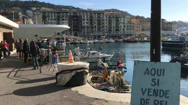 Give your opinion on the future of the port of Nice