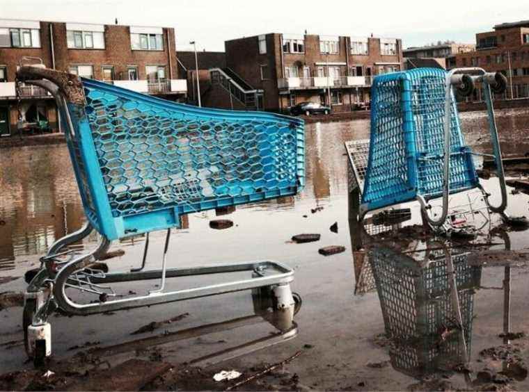 He walks quietly and discovers with horror the dismembered body of a woman in a shopping cart