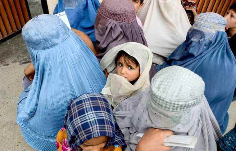 In Afghanistan, Women’s Day under the Taliban extinguisher