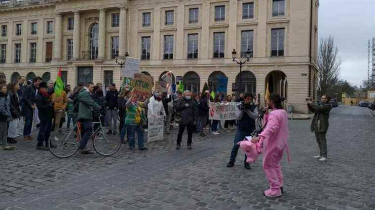 In Reims, around 300 demonstrators march for the climate