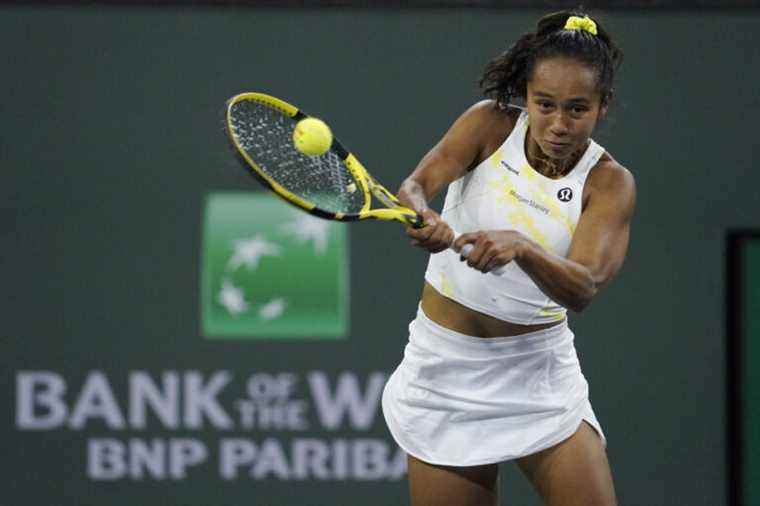 Indian Wells |  Fernandez lowers the flag in front of the defending champion