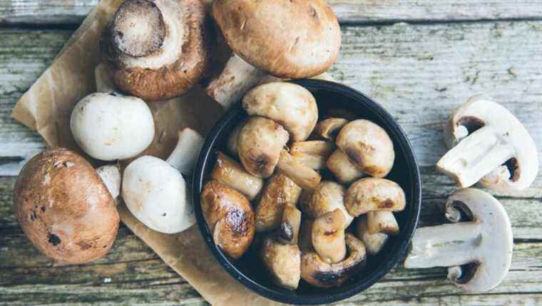 It’s button mushroom season.