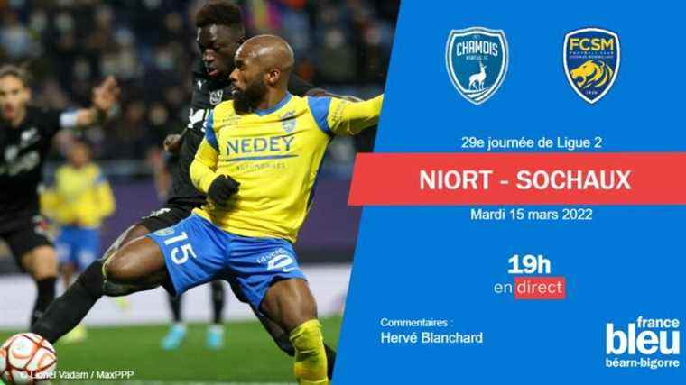 LIVE – Ligue 2: experience the Niort-Sochaux match