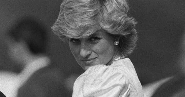 Lady Diana: A magnificent portrait of the princess unveiled… 34 years later!