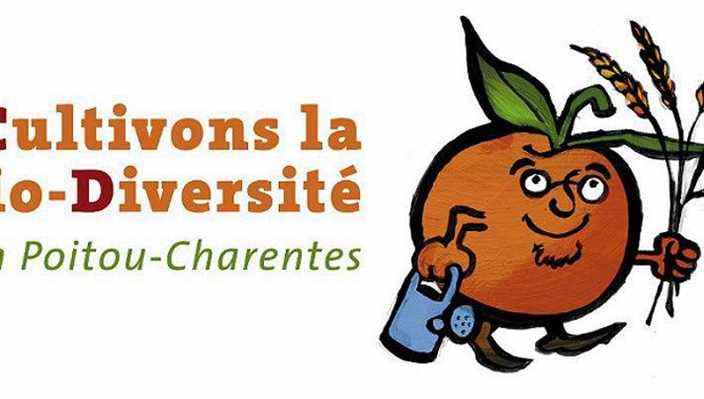 Let’s cultivate biodiversity in Chauvigny!