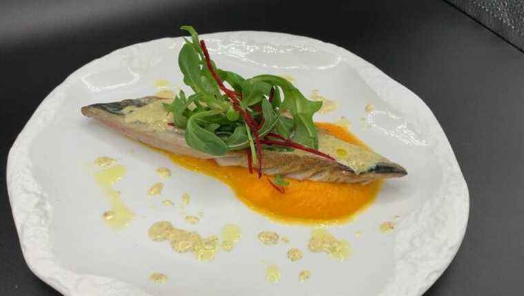 Mackerel fillets, butternut squash cream, vanilla beurre blanc