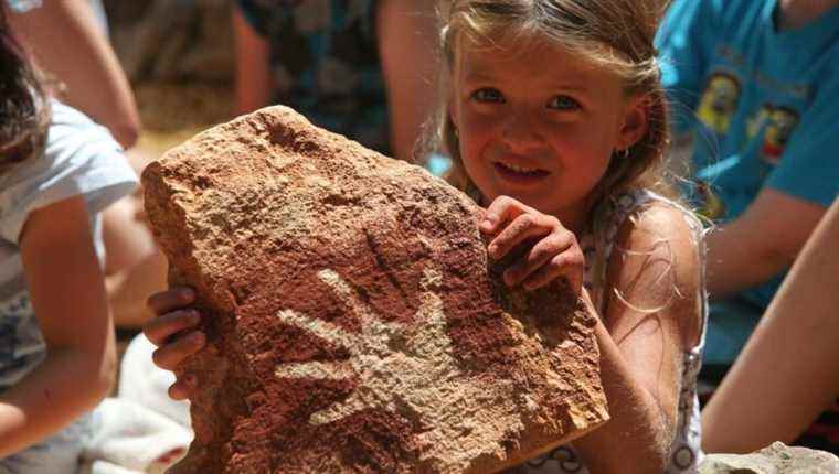 Many summer prehistoric workshops