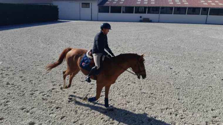 Moselle rider Simon Delestre takes on his third Saut Hermès