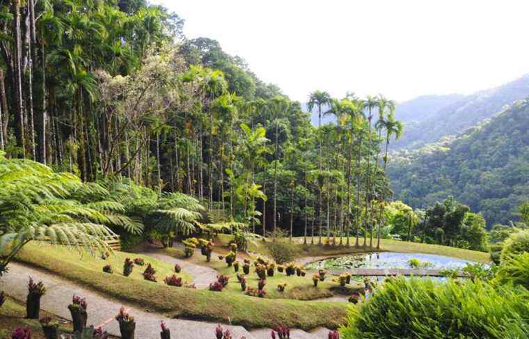 Nature and culture protected on the island of Martinique