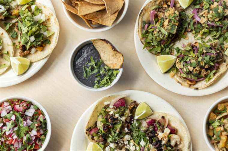 On trial |  Julio Taqueria: Mexican flavors in Quebec