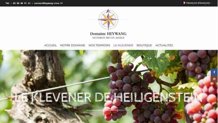 Organic wines in Heiligenstein with Domaine Heywang