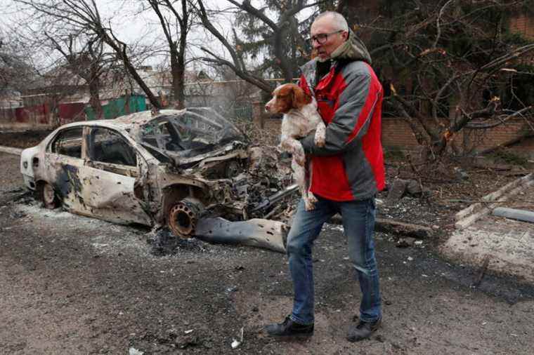 Organizations ready to help Ukrainian refugees and their animals