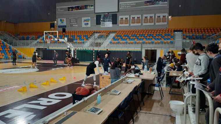 Orléans Loiret Basket wants to defend its chances with leader Boulogne Levallois