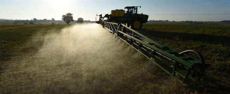 Pesticides: environmentalists win battle against glyphosate use