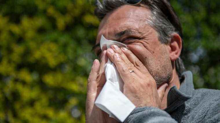 Pollen allergies: what is the level of risk in your department at the moment?