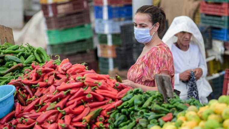 President Saïed in “war” against speculators in the face of a shortage of food