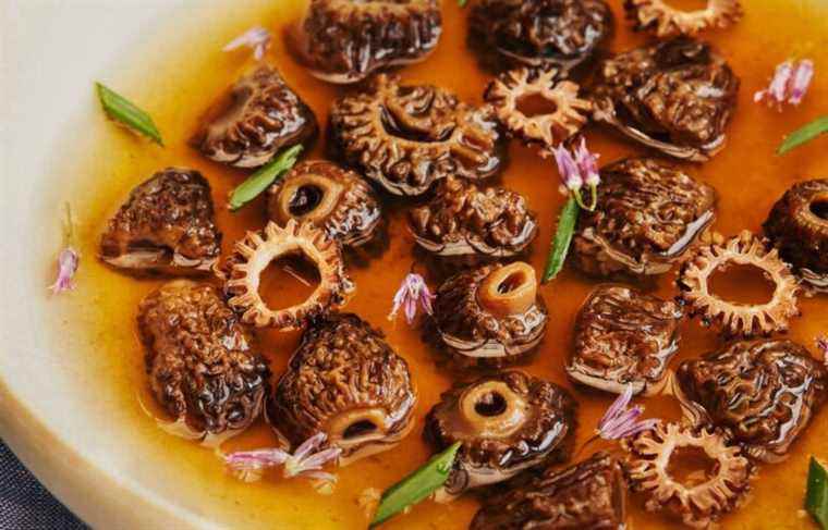 Recipe for Morel Consommé with Chives