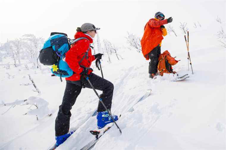 Supervise alpine ski touring rather than ban it