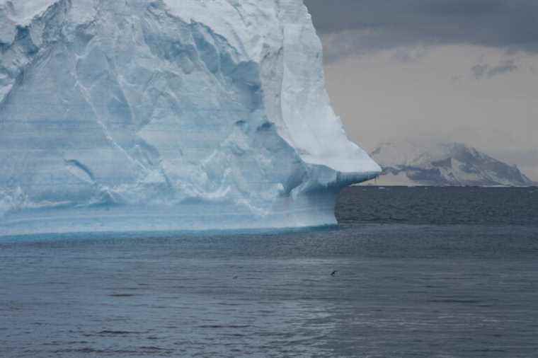 Temperatures more than 30°C above normal recorded in Antarctica