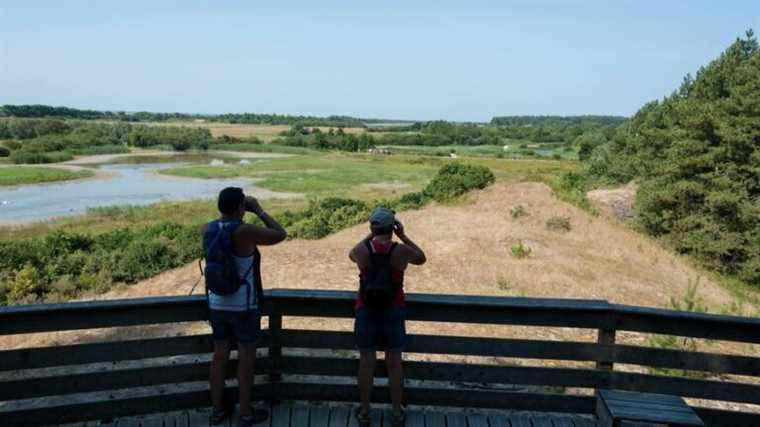 The Baie de Somme Tourist Office wants to promote sustainable tourism