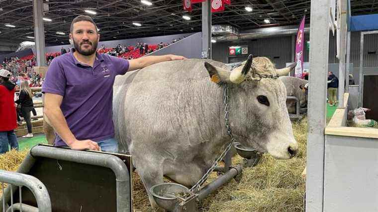 The Basque Country is full of medals in the general competition of the 2022 Agricultural Show