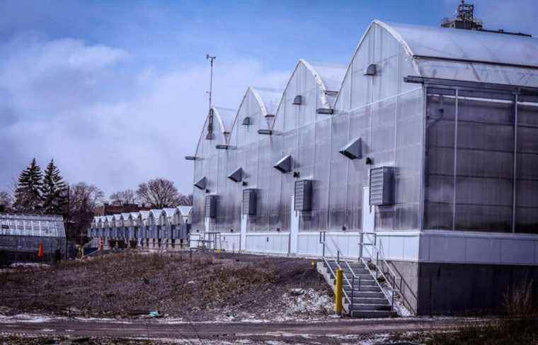 The Montreal School of Horticulture wants its pavilion