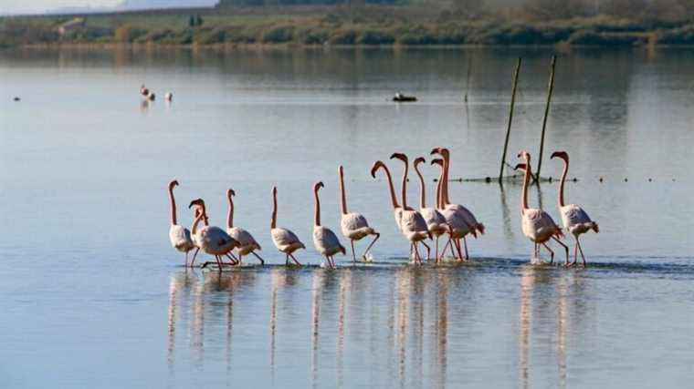 The Occitanie region launches a citizen consultation on nature