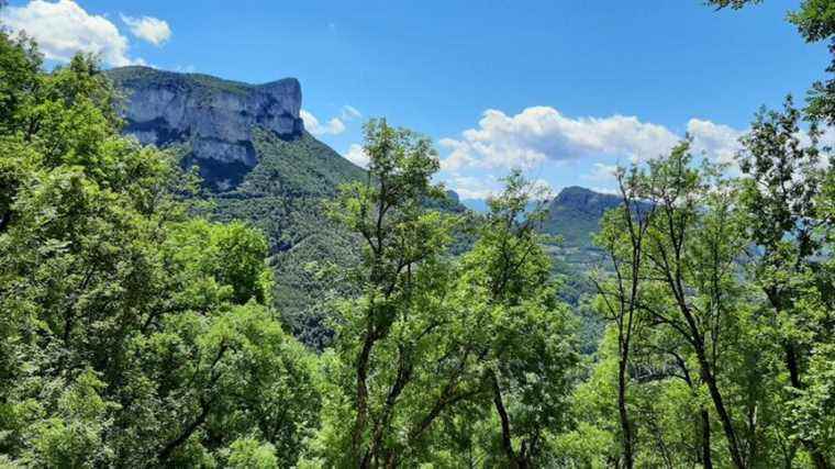 The Vercors Regional Natural Park wants to “involve the inhabitants in the preservation of biodiversity”