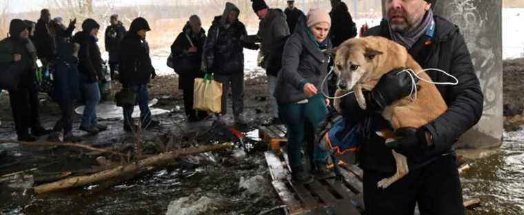 The first civilians evacuated by humanitarian corridor arrived “safely”