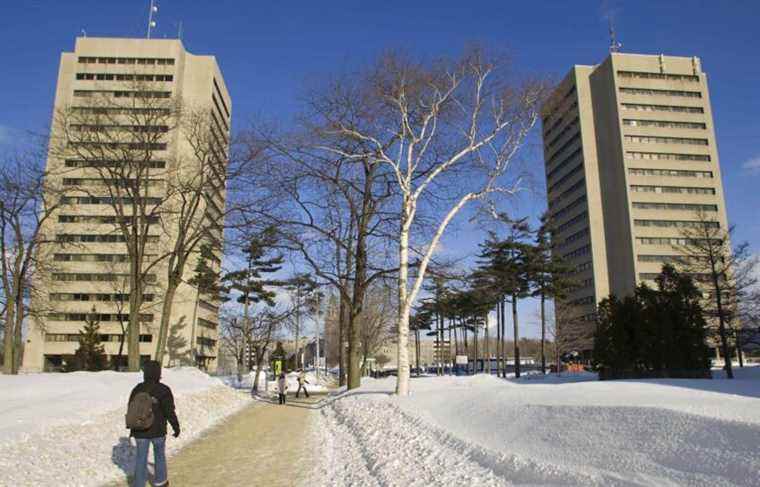 The hiring criteria for a position are denounced at Laval University