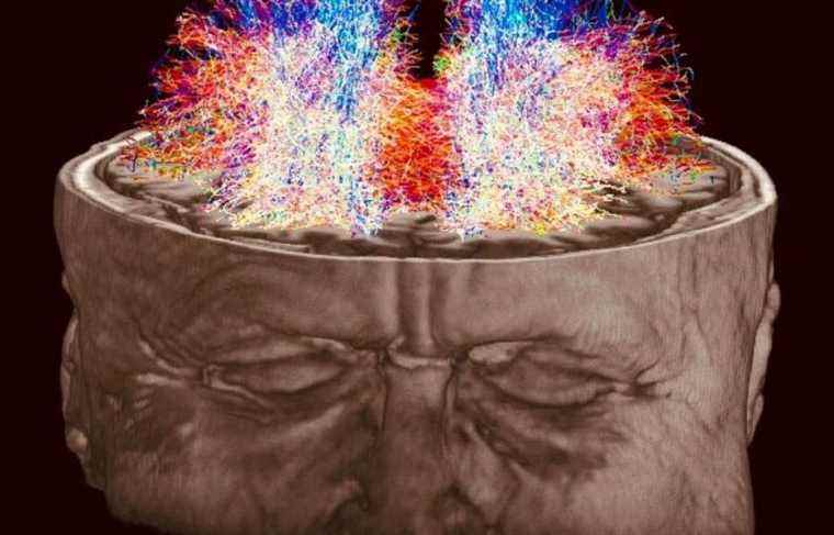 The many benefits of meditation on our brain