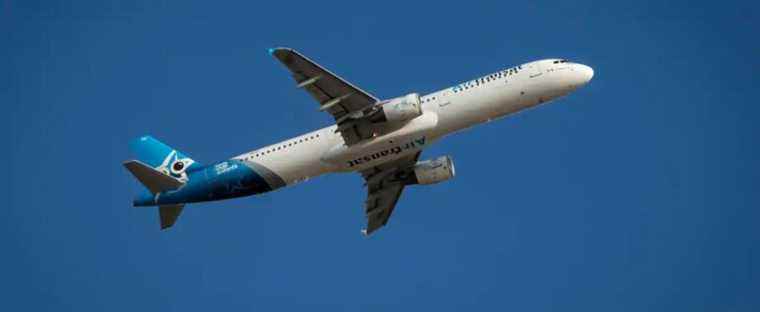 Transat again begs for help in Ottawa