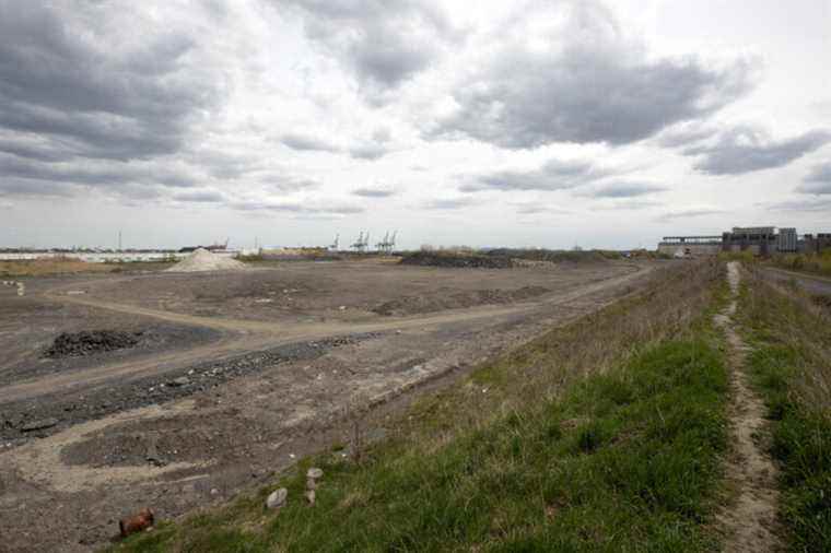 Transshipment in Hochelaga |  Work begins on the Ray-Mont Logistiques site