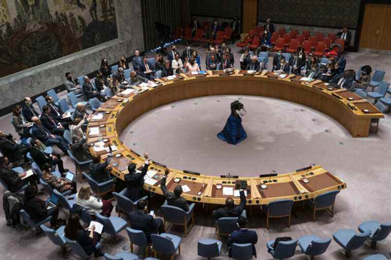 Ukraine |  The UN will again demand from Russia an “immediate” end to the war