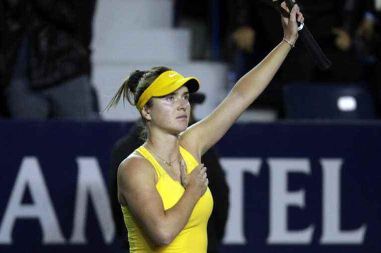 Ukrainian Svitolina defeats Russian Potapova and donates her winnings to the army