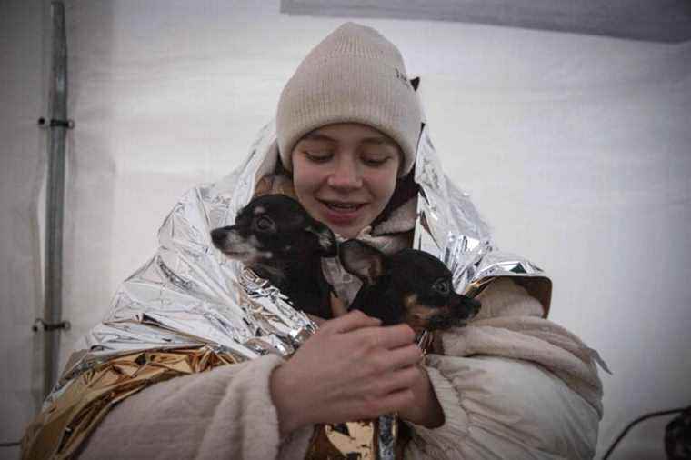 Ukrainian refugees |  “We cannot live without our animals”