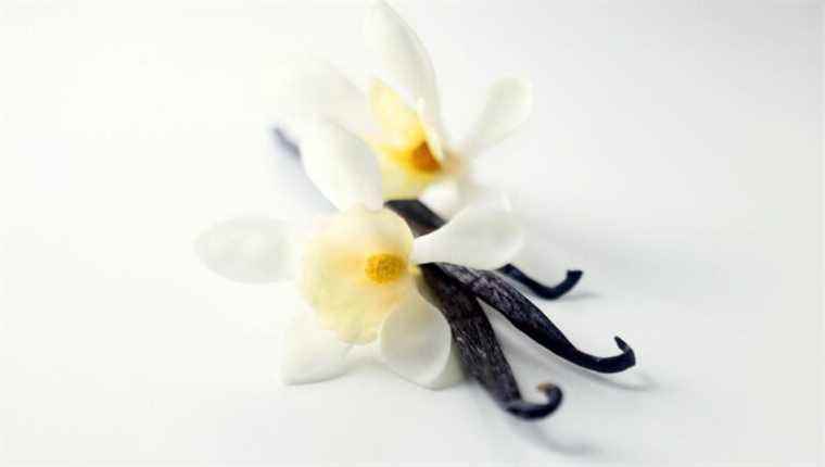 Vanilla, a pod that flavors many recipes