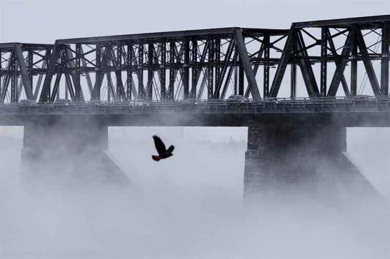 Victoria Bridge urgently closed