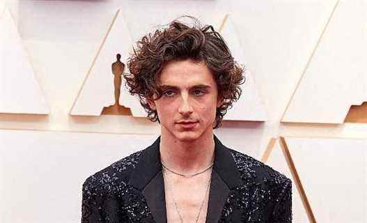 Visible shirtless, Timothée Chalamet, the ex of Lily Rose Depp, plays it ultra sexy on the red carpet of the Oscars 2022!