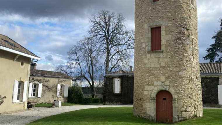 Walk to Château Latour-Malartic, Grand Cru Classé des Graves