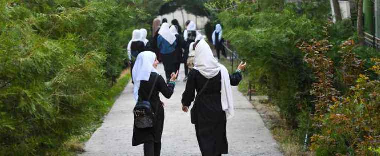 Washington cancels talks with Taliban after banning secondary education for girls