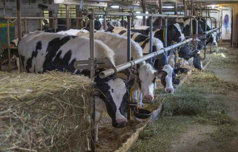 Washington denounces Canada’s trade restrictions on milk