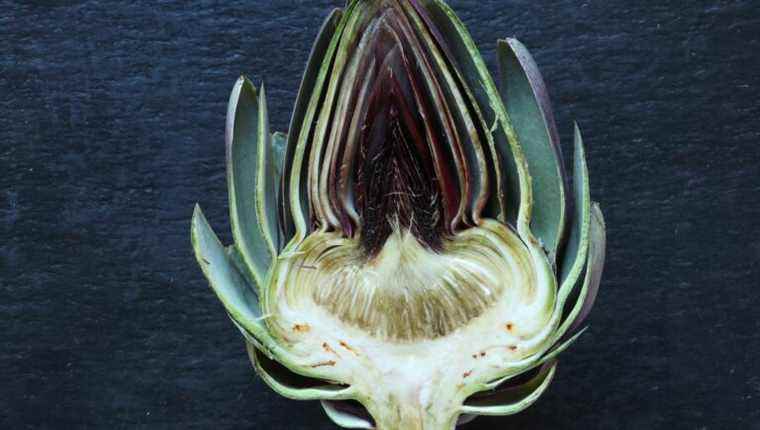 We cook the artichoke on France Bleu Alsace