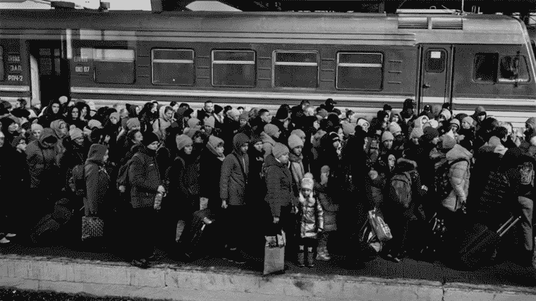 Weekly photo: Franco-American photographer Peter Turnley followed Ukrainian refugees