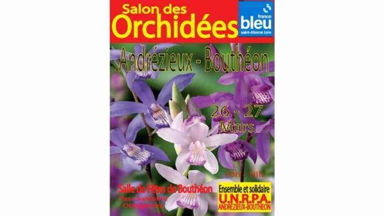 Win an orchid and your tickets to the Orchid Show in Andrézieux Bouthéon on March 26 and 27, 2022.