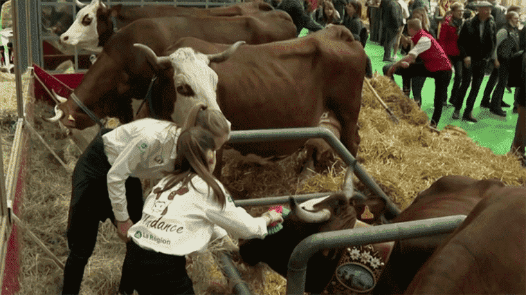 children discover the farm in a playful way