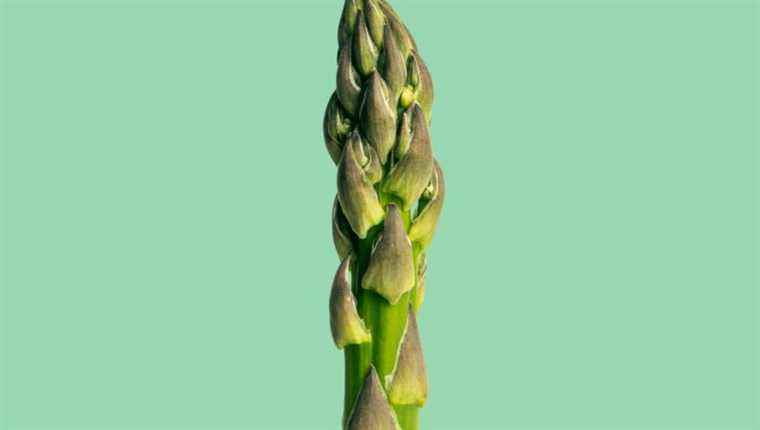 cook green asparagus with Charles Coulombeau from “the house in the park”