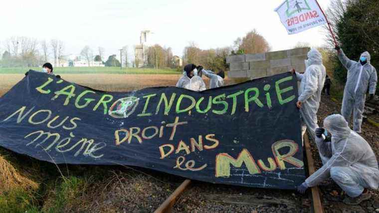 environmental protesters block and partially empty a grain train to denounce “factory farms”